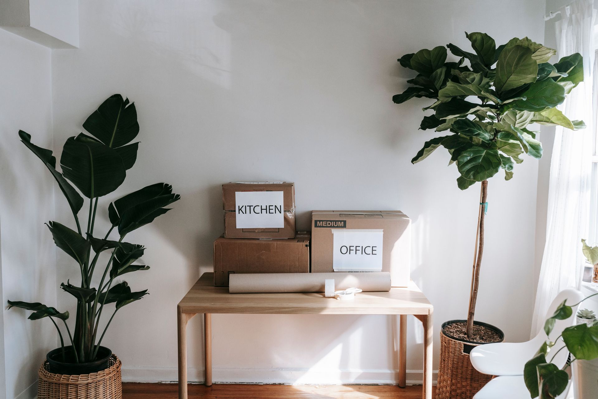 Stylish interior with moving boxes labeled 'Kitchen' and 'Office' on a wooden table surrounded by houseplants.